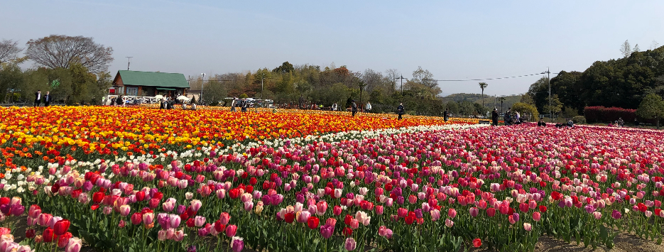 心身ともに健康な生き方を考える、 いのち輝く未来社会デザインコース
